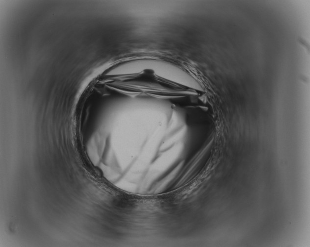 X0000091000342200708241455