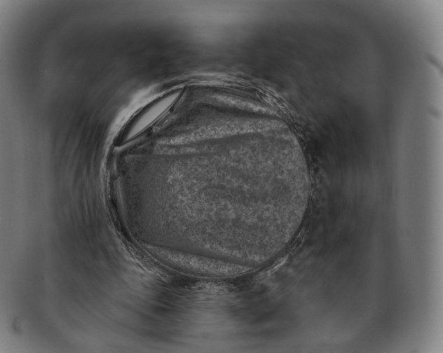 X0000091000343200708241455