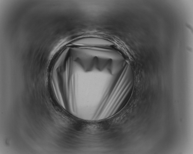 X0000091000344200708241455