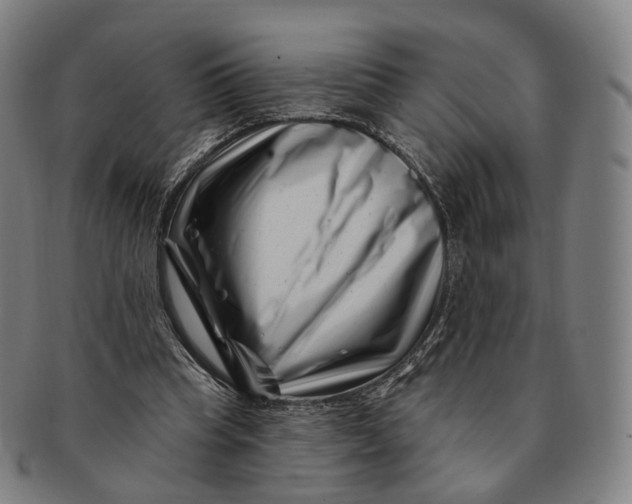 X0000091000345200708241455