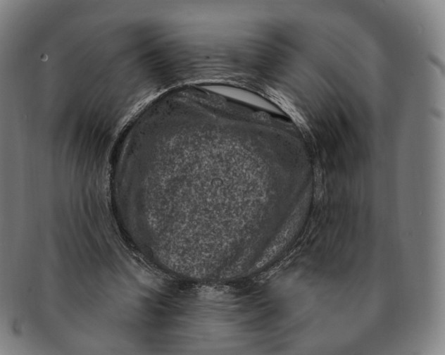 X0000091000346200708241455