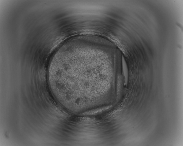 X0000091000347200708241455