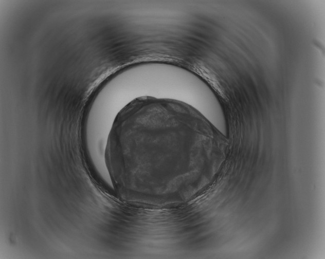 X0000091000348200708241455