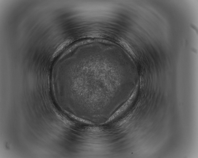 X0000091000349200708241455