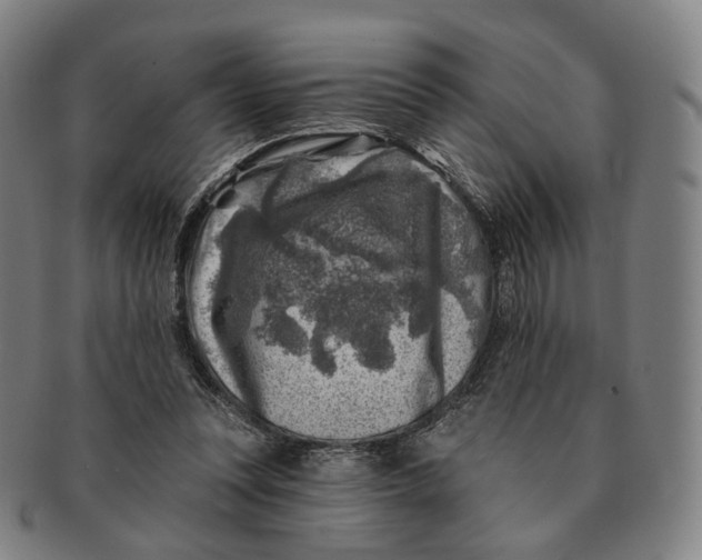 X0000091000351200708241455