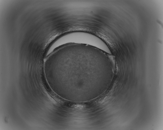 X0000091000352200708241455