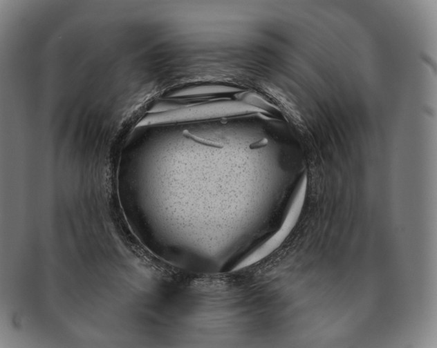 X0000091000354200708241455