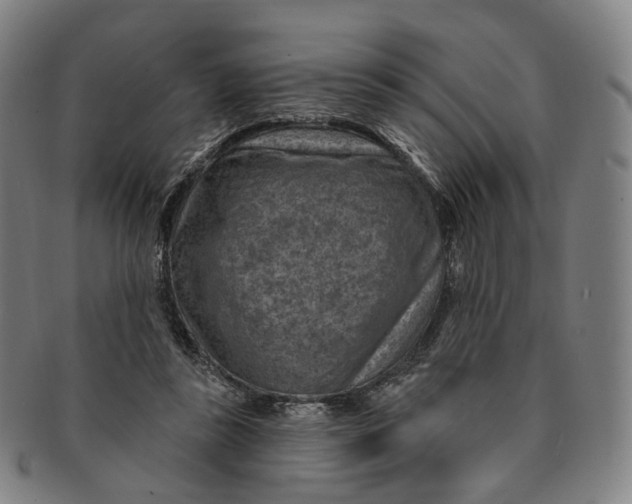 X0000091000355200708241455