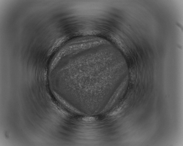 X0000091000357200708241455