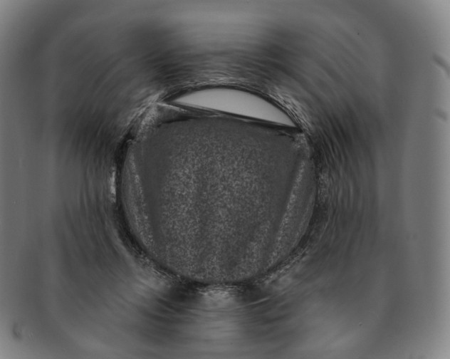 X0000091000358200708241455