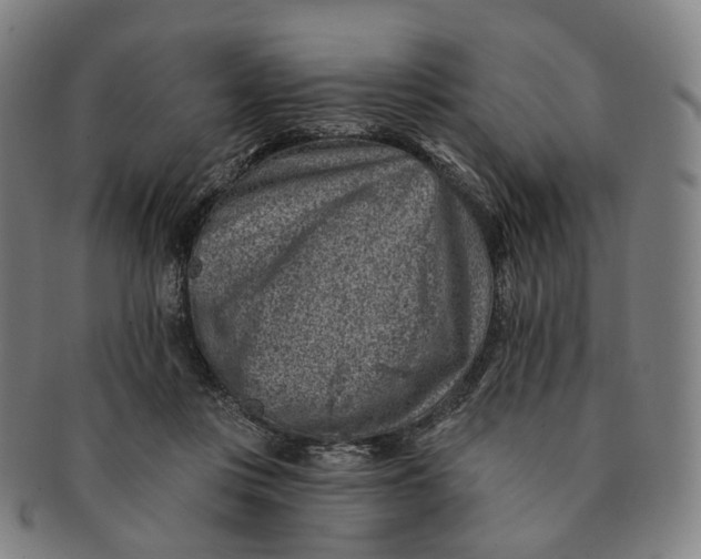 X0000091000359200708241455