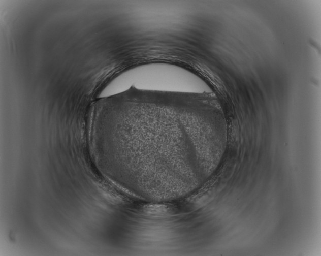 X0000091000361200708241455