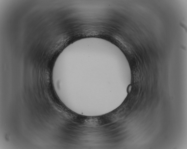 X0000091000362200708241455