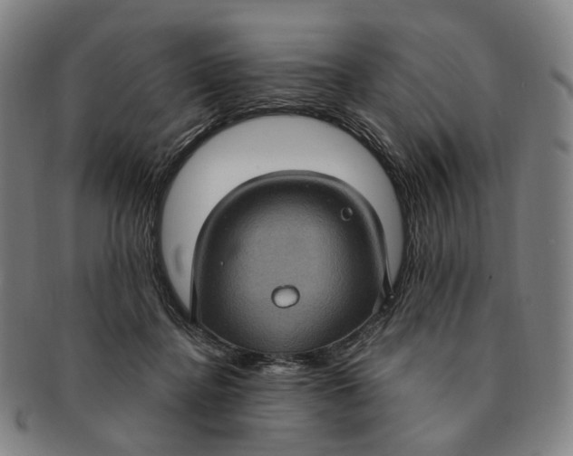 X0000091000364200708241455