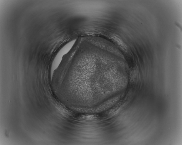 X0000091000365200708241455