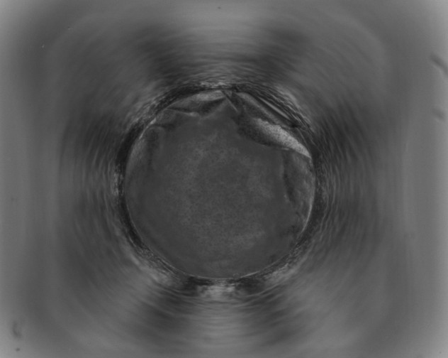 X0000091000366200708241455