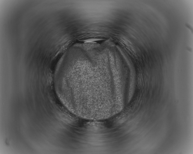 X0000091000367200708241455