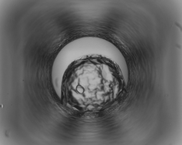 X0000091000368200708241455