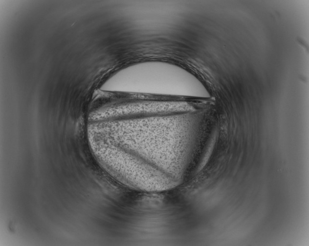 X0000091000369200708241455