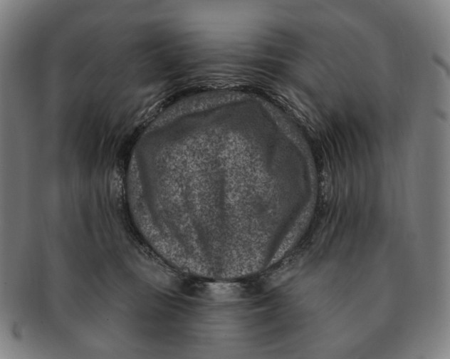 X0000091000371200708241455