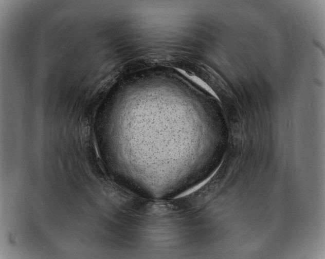 X0000091000372200708241455