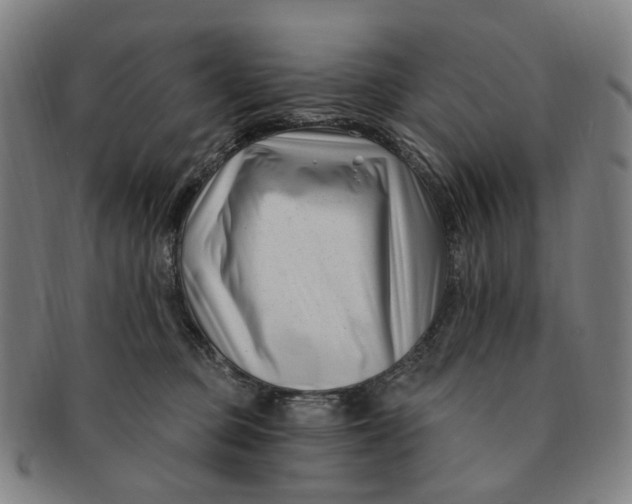 X0000091000373200708241455