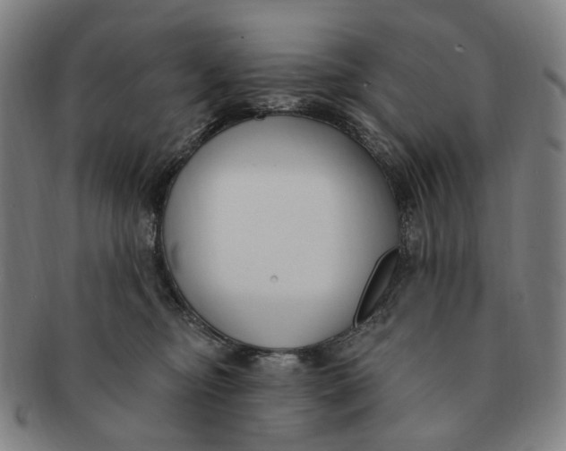 X0000091000374200708241455