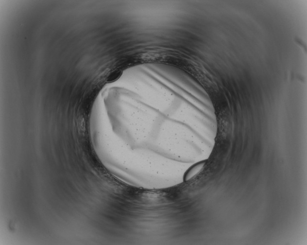 X0000091000375200708241455