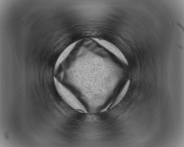 X0000091000376200708241455