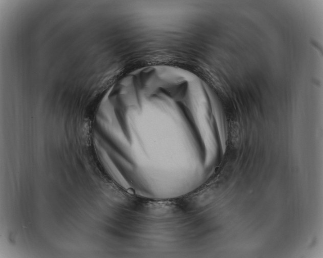 X0000091000378200708241455