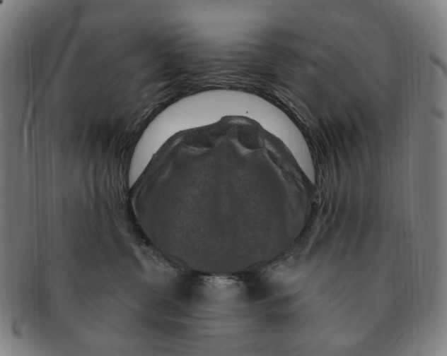 X0000091000380200708241455