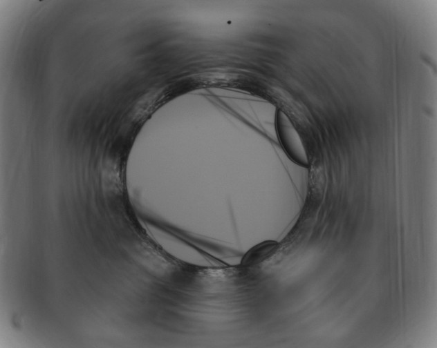 X0000091000381200708241455