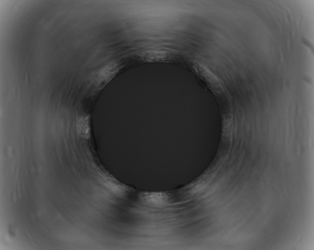 X0000091000383200708241455