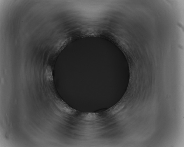 X0000091000384200708241455