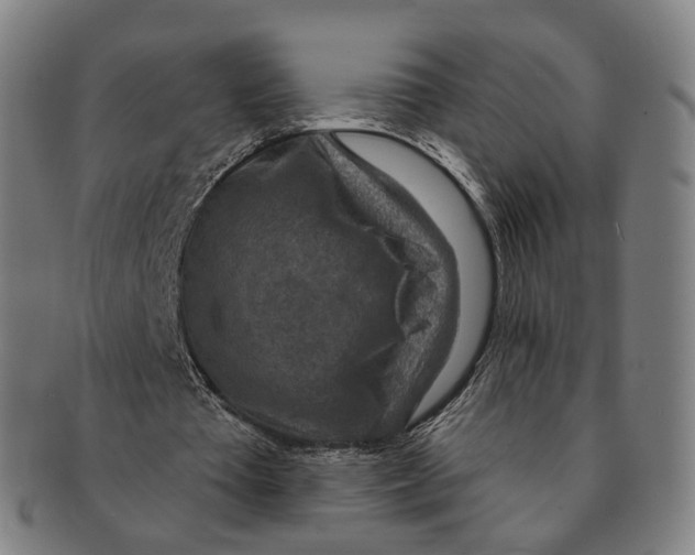 X0000091000385200708241454