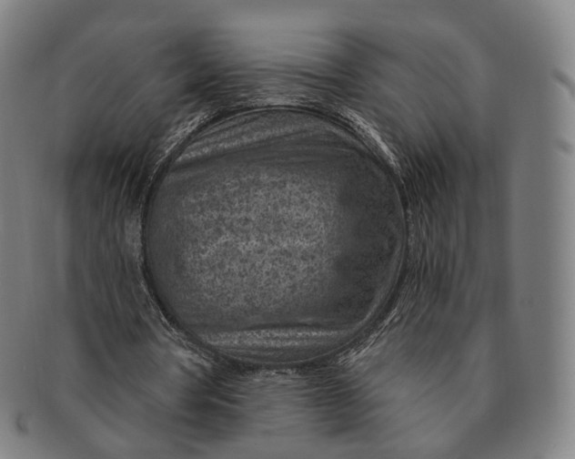 X0000091000386200708241454