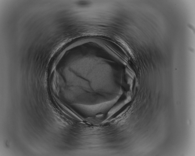 X0000091000387200708241454