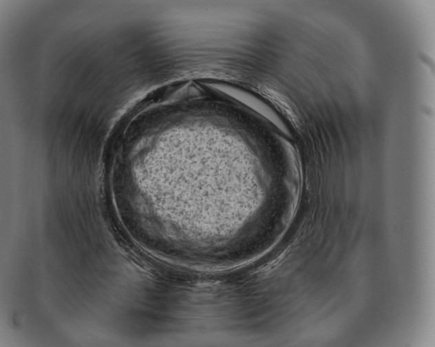 X0000091000388200708241454