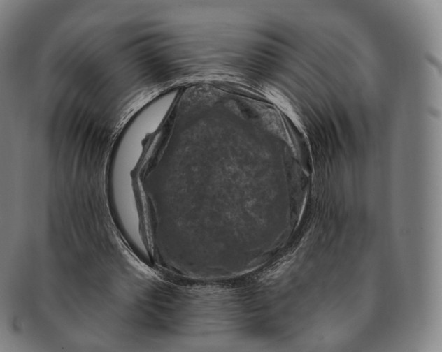 X0000091000389200708241454