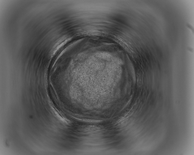 X0000091000390200708241454