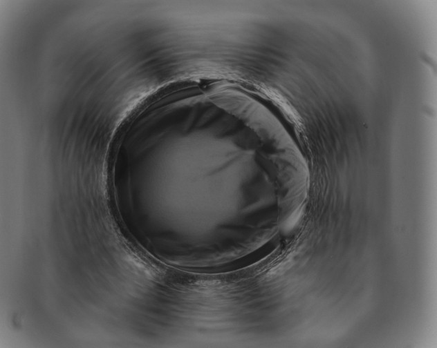 X0000091000391200708241454