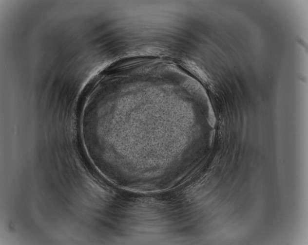 X0000091000392200708241454