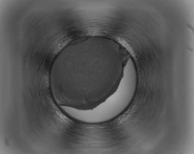 X0000091000393200708241454