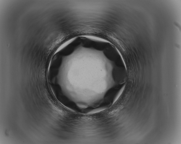 X0000091000394200708241454