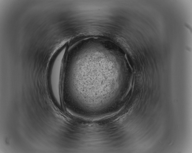 X0000091000395200708241454