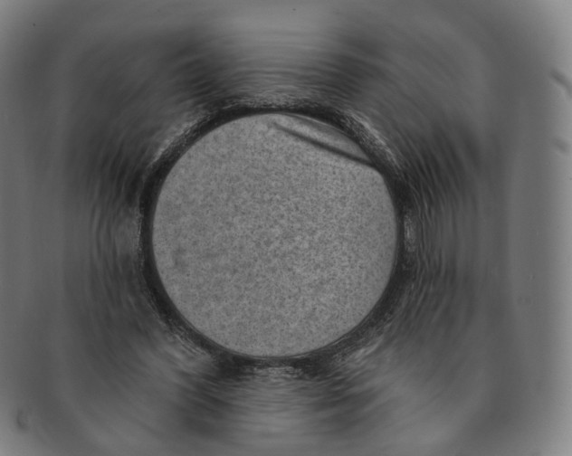 X0000091000396200708241454