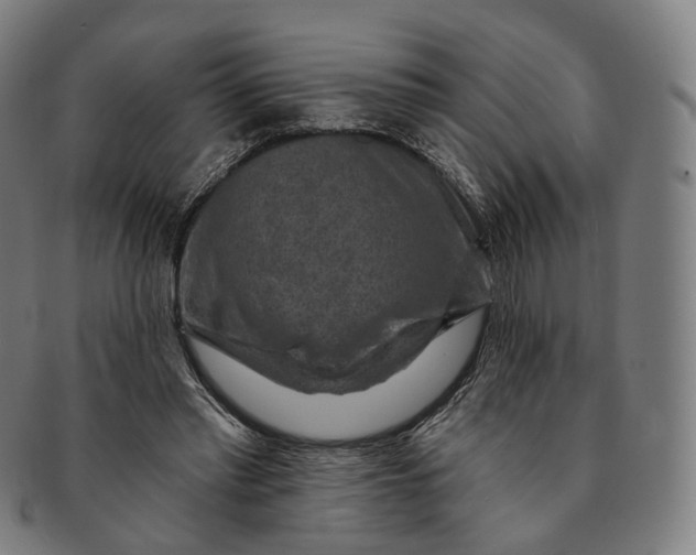 X0000091000397200708241454