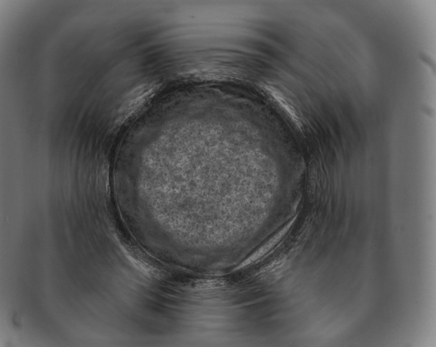 X0000091000398200708241454