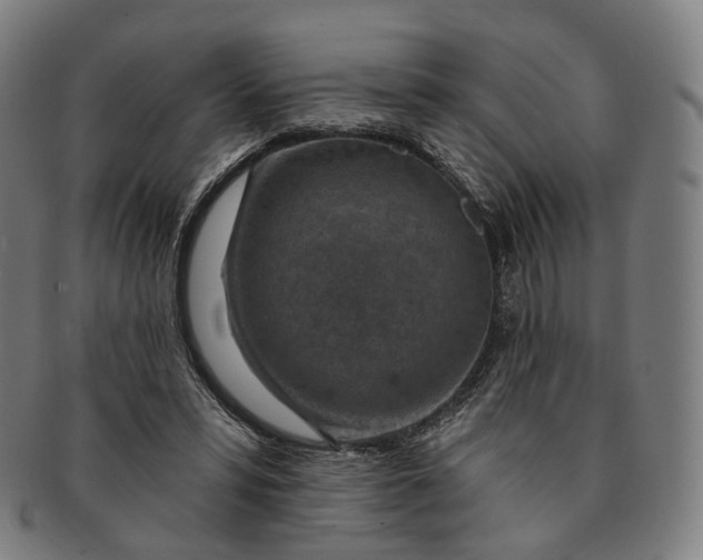 X0000091000399200708241454