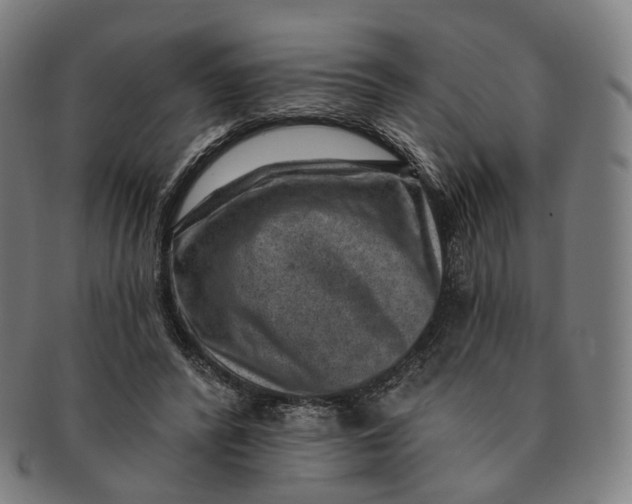 X0000091000400200708241454